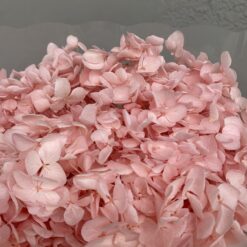 стабілізована гортензія рожева, стабілізована гортензія фіолетова, декоративна гортензія, квіти для декору, рожева гортензія, стабілізовані квіти, стабілізована гортензія 10 грам, квіти для квіткових композицій, квіти для прикрашання, рожева декоративна гортензія, квіти для інтер'єру, сухоцвіти для декору, рожева гортензія стабілізована, квіткові композиції з гортензії, стабілізована флористика, декор для свічок, гортензія для букетів, декор для весілля