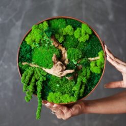 панно из мха 25 см, стабилизированный мох панно 25 см, панно для декора 25 см, декоративное панно 25 см, настенное панно мох 25 см, мох для декора стен 25 см, круглый декор из мха 25 см, природное панно 25 см, панно для дома 25 см, панно для офиса 25 см, панно для кафе 25 см, панно для ресторана 25 см, украшение стен мох 25 см, природный декор 25 см, панно зі стабілізованого моху 25 см, стабілізований мох панно 25 см, панно для декору 25 см, декоративне панно 25 см, настінне панно мох 25 см, мох для декору стін 25 см, круглий декор з моху 25 см, природне панно 25 см, панно для дому 25 см, панно для офісу 25 см, панно для кафе 25 см, панно для ресторану 25 см, прикраса стін мох 25 см, природний декор 25 см