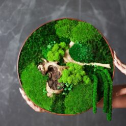 панно из мха 30 см, стабилизированный мох панно 30 см, панно для декора 30 см, декоративное панно 30 см, настенное панно мох 30 см, мох для декора стен 30 см, круглый декор из мха 30 см, природное панно 30 см, панно для дома 30 см, панно для офиса 30 см, панно для кафе 30 см, панно для ресторана 30 см, украшение стен мох 30 см, природный декор 30 см, панно зі стабілізованого моху 30 см, стабілізований мох панно 30 см, панно для декору 30 см, декоративне панно 30 см, настінне панно мох 30 см, мох для декору стін 30 см, круглий декор з моху 30 см, природне панно 30 см, панно для дому 30 см, панно для офісу 30 см, панно для кафе 30 см, панно для ресторану 30 см, прикраса стін мох 30 см, природний декор 30 см