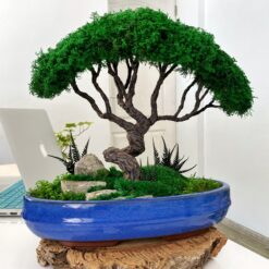 мосаріум, велика композиція, стабілізовані рослини, рослини у склі, унікальний подарунок, 8 березня, день народження, уникальный подарок, моссариум, флорариум, цветы в вазе, цветы в стекле