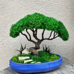 мосаріум, велика композиція, стабілізовані рослини, рослини у склі, унікальний подарунок, 8 березня, день народження, уникальный подарок, моссариум, флорариум, цветы в вазе, цветы в стекле