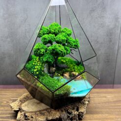 мосаріум, велика композиція, стабілізовані рослини, рослини у склі, унікальний подарунок, 8 березня, день народження, уникальный подарок, моссариум, флорариум, цветы в вазе, цветы в стекле