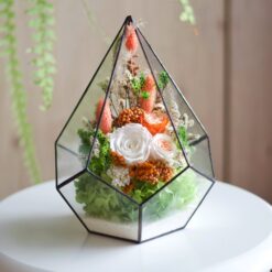 Флораріум зі стабілізованими квітами