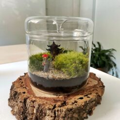 Живий мох з фігуркою китайця