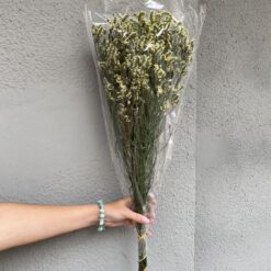 стабілізована статиця, лаймова статиця, стабілізована статиця, декор стабілізованими квітами, букет статиці, лаймова стабілізована статиця, стабілізовані квіти для декору, стабілізована флористика, стабілізовані рослини, статиця для декору, стабілізована статиця купити, букет кермек, стабілізовані квіти лаймові, лаймова статиця для декору, стабілізовані квіти купити, стабілізований букет, стабілізована флора, стабілізовані квіти для інтер'єру, стабилизированная статица, лаймовая статица, стабилизированная статица, декор стабилизированными цветами, букет статицы, лаймовая стабилизированная статица, стабилизированные цветы для декора, стабилизированная флористика, стабилизированные растения, статица для декора, стабилизированная статица купить, букет кермек, стабилизированные цветы лаймовые, лаймовая статица для декора, стабилизированные цветы купить, стабилизированный букет, стабилизированная флора, стабилизированные цветы для интерьера