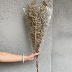 стабілізований лимоніум, бежевий лимоніум, стабілізований лимоніум, декор стабілізованими квітами, букет лимоніуму, бежевий стабілізований лимоніум, стабілізовані квіти для декору, стабілізована флористика, стабілізовані рослини, лимоніум для декору, стабілізований лимоніум купити, букет кермек, стабілізовані квіти бежеві, бежевий лимоніум для декору, стабілізовані квіти купити, стабілізований букет, стабілізована флора, стабілізовані квіти для інтер'єру, стабилизированный лимониум, бежевый лимониум, стабилизированный лимониум, декор стабилизированными цветами, букет лимониума, бежевый стабилизированный лимониум, стабилизированные цветы для декора, стабилизированная флористика, стабилизированные растения, лимониум для декора, стабилизированный лимониум купить, букет кермек, стабилизированные цветы бежевые, бежевый лимониум для декора, стабилизированные цветы купить, стабилизированный букет, стабилизированная флора, стабилизированные цветы для интерьера