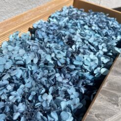 стабілізована гортензія рожева, стабілізована гортензія фіолетова, декоративна гортензія, квіти для декору, рожева гортензія, стабілізовані квіти, стабілізована гортензія 10 грам, квіти для квіткових композицій, квіти для прикрашання, рожева декоративна гортензія, квіти для інтер'єру, сухоцвіти для декору, рожева гортензія стабілізована, квіткові композиції з гортензії, стабілізована