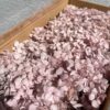 стабілізована гортензія рожева, стабілізована гортензія фіолетова, декоративна гортензія, квіти для декору, рожева гортензія, стабілізовані квіти, стабілізована гортензія 10 грам, квіти для квіткових композицій, квіти для прикрашання, рожева декоративна гортензія, квіти для інтер'єру, сухоцвіти для декору, рожева гортензія стабілізована, квіткові композиції з гортензії, стабілізована