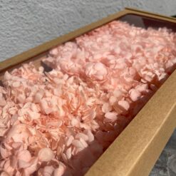 стабілізована гортензія рожева, стабілізована гортензія фіолетова, декоративна гортензія, квіти для декору, рожева гортензія, стабілізовані квіти, стабілізована гортензія 10 грам, квіти для квіткових композицій, квіти для прикрашання, рожева декоративна гортензія, квіти для інтер'єру, сухоцвіти для декору, рожева гортензія стабілізована, квіткові композиції з гортензії, стабілізована