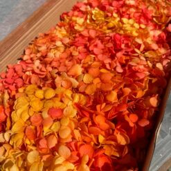 стабілізована гортензія рожева, стабілізована гортензія фіолетова, декоративна гортензія, квіти для декору, рожева гортензія, стабілізовані квіти, стабілізована гортензія 10 грам, квіти для квіткових композицій, квіти для прикрашання, рожева декоративна гортензія, квіти для інтер'єру, сухоцвіти для декору, рожева гортензія стабілізована, квіткові композиції з гортензії, стабілізована