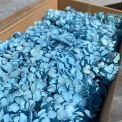 стабілізована гортензія рожева, стабілізована гортензія фіолетова, декоративна гортензія, квіти для декору, рожева гортензія, стабілізовані квіти, стабілізована гортензія 10 грам, квіти для квіткових композицій, квіти для прикрашання, рожева декоративна гортензія, квіти для інтер'єру, сухоцвіти для декору, рожева гортензія стабілізована, квіткові композиції з гортензії, стабілізована