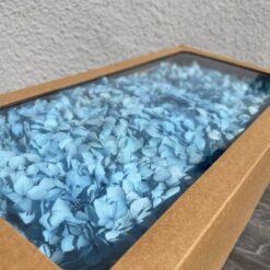 стабілізована гортензія рожева, стабілізована гортензія фіолетова, декоративна гортензія, квіти для декору, рожева гортензія, стабілізовані квіти, стабілізована гортензія 10 грам, квіти для квіткових композицій, квіти для прикрашання, рожева декоративна гортензія, квіти для інтер'єру, сухоцвіти для декору, рожева гортензія стабілізована, квіткові композиції з гортензії, стабілізована