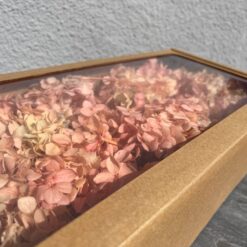 стабілізована гортензія рожева, стабілізована гортензія фіолетова, декоративна гортензія, квіти для декору, рожева гортензія, стабілізовані квіти, стабілізована гортензія 10 грам, квіти для квіткових композицій, квіти для прикрашання, рожева декоративна гортензія, квіти для інтер'єру, сухоцвіти для декору, рожева гортензія стабілізована, квіткові композиції з гортензії, стабілізована