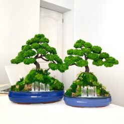 мосаріум, велика композиція, стабілізовані рослини, рослини у склі, унікальний подарунок, 8 березня, день народження, уникальный подарок, моссариум, флорариум, цветы в вазе, цветы в стекле