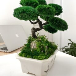 мосаріум, велика композиція, стабілізовані рослини, рослини у склі, унікальний подарунок, 8 березня, день народження, уникальный подарок, моссариум, флорариум, цветы в вазе, цветы в стекле