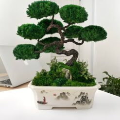 мосаріум, велика композиція, стабілізовані рослини, рослини у склі, унікальний подарунок, 8 березня, день народження, уникальный подарок, моссариум, флорариум, цветы в вазе, цветы в стекле