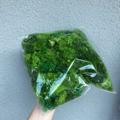 стабілізований мох преміум, залишки моху для декору, стабілізований мох для флораріумів, мікс зелених відтінків моху, мох для оформлення інтер'єру, залишки стабілізованого моху для поробок, екологічний мох без шапочок, матеріал для флористики, стабілізований мох для дитячих проєктів, натуральний мох для декору, стабілізований мох для стін, стабілізований мох для подарункових коробок, стабилизированный мох премиум, остатки мха для декора, стабилизированный мох для флорариумов, микс зеленых оттенков мха, мох для оформления интерьера, остатки стабилизированного мха для поделок, экологичный мох без шапочек, материал для флористики, стабилизированный мох для детских проектов, натуральный мох для декора, стабилизированный мох для стен, стабилизированный мох для подарочных коробок