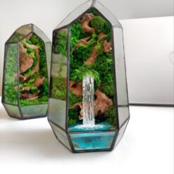 флораріум, мосаріум, флораріум з мохом, стабілізовані рослини, мінімалізм, декор, подарунок, 8 березня, день народження