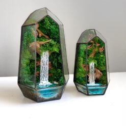 флораріум, мосаріум, флораріум з мохом, стабілізовані рослини, мінімалізм, декор, подарунок, 8 березня, день народження