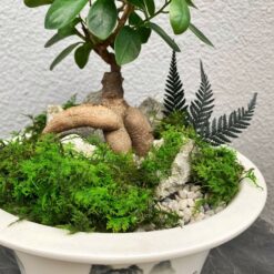 бонсай в китайском горшке, бонсай с мхом, декоративный бонсай для интерьера, бонсай с искусственным декором, бонсай для дома и офиса, горшок с бонсаем 40х22 см, бонсай дерево в горшке, бонсай с китайским орнаментом, бонсай в керамическом горшке, декоративный бонсай для подарка, бонсай у китайському горщику, бонсай з мохом, декоративний бонсай для інтер'єру, бонсай з штучним декором, бонсай для дому та офісу, горщик з бонсаєм 40х22 см, бонсай дерево у горщику, бонсай з китайським орнаментом, бонсай у керамічному горщику, декоративний бонсай для подарунка