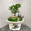 бонсай в китайском горшке, бонсай с мхом, декоративный бонсай для интерьера, бонсай с искусственным декором, бонсай для дома и офиса, горшок с бонсаем 40х22 см, бонсай дерево в горшке, бонсай с китайским орнаментом, бонсай в керамическом горшке, декоративный бонсай для подарка, бонсай у китайському горщику, бонсай з мохом, декоративний бонсай для інтер'єру, бонсай з штучним декором, бонсай для дому та офісу, горщик з бонсаєм 40х22 см, бонсай дерево у горщику, бонсай з китайським орнаментом, бонсай у керамічному горщику, декоративний бонсай для подарунка