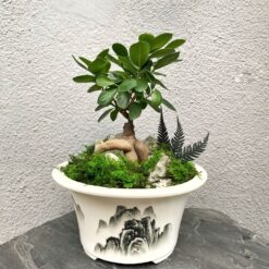 бонсай в китайском горшке, бонсай с мхом, декоративный бонсай для интерьера, бонсай с искусственным декором, бонсай для дома и офиса, горшок с бонсаем 40х22 см, бонсай дерево в горшке, бонсай с китайским орнаментом, бонсай в керамическом горшке, декоративный бонсай для подарка, бонсай у китайському горщику, бонсай з мохом, декоративний бонсай для інтер'єру, бонсай з штучним декором, бонсай для дому та офісу, горщик з бонсаєм 40х22 см, бонсай дерево у горщику, бонсай з китайським орнаментом, бонсай у керамічному горщику, декоративний бонсай для подарунка
