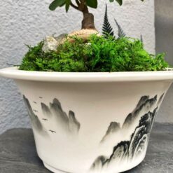 бонсай в китайском горшке, бонсай с мхом, декоративный бонсай для интерьера, бонсай с искусственным декором, бонсай для дома и офиса, горшок с бонсаем 40х22 см, бонсай дерево в горшке, бонсай с китайским орнаментом, бонсай в керамическом горшке, декоративный бонсай для подарка, бонсай у китайському горщику, бонсай з мохом, декоративний бонсай для інтер'єру, бонсай з штучним декором, бонсай для дому та офісу, горщик з бонсаєм 40х22 см, бонсай дерево у горщику, бонсай з китайським орнаментом, бонсай у керамічному горщику, декоративний бонсай для подарунка