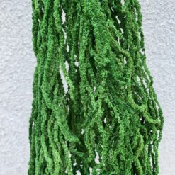 амарант стабилизированный зелёный, стабилизированный амарант для декора, амарант зелёный 100 см, стабилизированный амарант для букетов, флористический амарант зелёный, амарант для украшения интерьера, стабилизированные растения амарант, амарант пучок 5-7 веток, амарант декор композиция, амарант для длительного хранения, стабилизированный амарант для подарка, амарант зелёный флористика, амарант стабілізований зелений, стабілізований амарант для декору, амарант зелений 100 см, стабілізований амарант для букетів, флористичний амарант зелений, амарант для прикраси інтер'єру, стабілізовані рослини амарант, амарант пучок 5-7 гілок, амарант декор композиція, амарант для тривалого зберігання, стабілізований амарант для подарунка, амарант зелений флористика