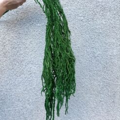 амарант стабилизированный зелёный, стабилизированный амарант для декора, амарант зелёный 100 см, стабилизированный амарант для букетов, флористический амарант зелёный, амарант для украшения интерьера, стабилизированные растения амарант, амарант пучок 5-7 веток, амарант декор композиция, амарант для длительного хранения, стабилизированный амарант для подарка, амарант зелёный флористика, амарант стабілізований зелений, стабілізований амарант для декору, амарант зелений 100 см, стабілізований амарант для букетів, флористичний амарант зелений, амарант для прикраси інтер'єру, стабілізовані рослини амарант, амарант пучок 5-7 гілок, амарант декор композиція, амарант для тривалого зберігання, стабілізований амарант для подарунка, амарант зелений флористика