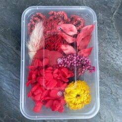 набор для творчества с сухоцветами, набором для творчества с сухоцветами, набор хендмейд с сухоцветами, высушенные цветы и растения, сушеные цветы для создания букетов, сушеные цветы для создания композиций, набор для творчества из натуральных материалов, сушеные цветы для мыловарения, сушеные цветы для свечек, сушеные цветы для детских поделок, сухоцветы для декора и творчества, комплект сухоцветов для создания композиций, набір для творчості з сухоцвітами, набором для творчості з сухоцвітами, набір хендмейд з сухоцвітами, висушені квіти та рослини, сушені квіти для створення букетів, сушені квіти для створення композицій, набір для творчості з натуральних матеріалів, сушені квіти для миловаріння, сушені квіти для свічок, сушені квіти для дитячих виробів, сухоцвіти для декору та творчості, комплект сухоцвітів для створення композицій