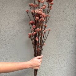 сухоцвет озатамнус стабилизированный коралловый, сухоцветы рисовые цветы кораллового цвета, букет сухоцветов коралловый, цветы для декора интерьера коралловые, коралловые сухоцветы для рукоделия, стабилизированные коралловые цветы для подарка, коралловые сухоцветы для флористики, стабилизированные растения кораллового цвета, букет из стабилизированных цветов коралловый, композиция из коралловых сухоцветов, коралловые сухоцветы для композиции, стабилизированный коралловый букет цветов, сухоцвіт озатамнус стабілізований кораловий, сухоцвіти рисові квіти коралового кольору, букет сухоцвітів кораловий, квіти для декору інтер'єру коралові, коралові сухоцвіти для рукоділля, стабілізовані коралові квіти для подарунка, коралові сухоцвіти для флористики, стабілізовані рослини коралового кольору, букет зі стабілізованих квітів кораловий, композиція із коралових сухоцвітів, коралові сухоцвіти для композиції, стабілізований кораловий букет квітів