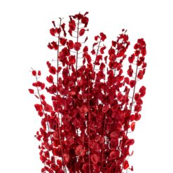 Лунарія бордо стабілізована