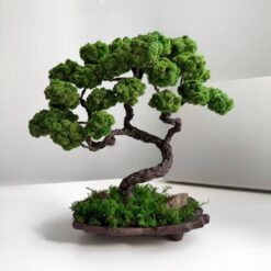 дерево на волнистой керамической плошке, стабилизированное дерево декор, декоративное дерево с керамической плошкой, интерьерное дерево стабилизированное, декор дерево на волнистой керамике, дерево для дома и офиса, подарок стабилизированное дерево, композиция с деревом на волнистой керамической плошке, декоративное дерево для интерьера, композиция с деревом декор дерево на хвилястій керамічній плошці, стабілізоване дерево декор, декоративне дерево з керамічною плошкою, інтер'єрне дерево стабілізоване, декор дерево на хвилястій кераміці, дерево для дому та офісу, подарунок стабілізоване дерево, композиція з деревом на хвилястій керамічній плошці, декоративне дерево для інтер'єру, композиція з деревом декор