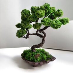 дерево на волнистой керамической плошке, стабилизированное дерево декор, декоративное дерево с керамической плошкой, интерьерное дерево стабилизированное, декор дерево на волнистой керамике, дерево для дома и офиса, подарок стабилизированное дерево, композиция с деревом на волнистой керамической плошке, декоративное дерево для интерьера, композиция с деревом декор дерево на хвилястій керамічній плошці, стабілізоване дерево декор, декоративне дерево з керамічною плошкою, інтер'єрне дерево стабілізоване, декор дерево на хвилястій кераміці, дерево для дому та офісу, подарунок стабілізоване дерево, композиція з деревом на хвилястій керамічній плошці, декоративне дерево для інтер'єру, композиція з деревом декор