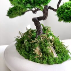 искусственное дерево с мхом, дерево в белой плошке, композиция с искусственным бонсаем, стабилизированный мох для декора, дерево с мхом для интерьера, искусственное дерево для дома, мини-сад без ухода, декоративное дерево в керамической плошке, искусственное дерево бонсай, композиция с искусственным деревом, декор с искусственным мхом, дерево для стильного интерьера, искусственное дерево в белой плошке, интерьерное украшение с деревом, искусственное дерево с натуральным мхом штучне дерево з мохом, дерево в білій плошці, композиція з штучним бонсаєм, стабілізований мох для декору, дерево з мохом для інтер'єру, штучне дерево для дому, міні-сад без догляду, декоративне дерево в керамічній плошці, штучне дерево бонсай, композиція зі штучним деревом, декор з штучним мохом, дерево для стильного інтер'єру, штучне дерево в білій плошці, інтер'єрна прикраса з деревом, штучне дерево з натуральним мохом