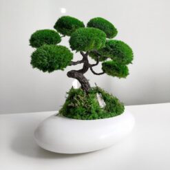 искусственное дерево с мхом, дерево в белой плошке, композиция с искусственным бонсаем, стабилизированный мох для декора, дерево с мхом для интерьера, искусственное дерево для дома, мини-сад без ухода, декоративное дерево в керамической плошке, искусственное дерево бонсай, композиция с искусственным деревом, декор с искусственным мхом, дерево для стильного интерьера, искусственное дерево в белой плошке, интерьерное украшение с деревом, искусственное дерево с натуральным мхом штучне дерево з мохом, дерево в білій плошці, композиція з штучним бонсаєм, стабілізований мох для декору, дерево з мохом для інтер'єру, штучне дерево для дому, міні-сад без догляду, декоративне дерево в керамічній плошці, штучне дерево бонсай, композиція зі штучним деревом, декор з штучним мохом, дерево для стильного інтер'єру, штучне дерево в білій плошці, інтер'єрна прикраса з деревом, штучне дерево з натуральним мохом