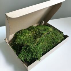 мох плоский, декоративний мох 0,5 кг, стабилизированный, стабилизированный мох для декора, натуральный мох для интерьера, мох для фитостены, декоративный мох 1 кг, мох для панно, мох для вертикального озеленения, мох для флористики, мох для стен, мох для дизайна интерьера, мох для офиса, мох для ресторана, мох для дома, мох для декора стен, мох для фитодизайна, мох плоский стабілізований, стабілізований мох для декору, натуральний мох для інтер'єру, мох для фітостіни, декоративний мох 1 кг, мох для панно, мох для вертикального озеленення, мох для флористики, мох для стін, мох для дизайну інтер'єру, мох для офісу, мох для ресторану, мох для дому, мох для декору стін, мох для фітодизайну