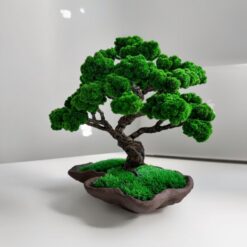 декоративное дерево с мхом, дерево в керамической чаше, стабилизированный мох для декора, дерево в волнистой форме, дерево для декора интерьера, декоративное дерево 25х25 см, дерево декор для дома, дерево декор для офиса, интерьерное дерево с мхом, декоративное дерево с мхом 25 см, стабилизированный мох в декоре, дерево в керамической плошке, декоративне дерево з мохом, дерево у керамічній чаші, стабілізований мох для декору, дерево у хвилястій формі, дерево для декору інтер'єру, декоративне дерево 25х25 см, дерево декор для дому, дерево декор для офісу, інтер'єрне дерево з мохом, декоративне дерево з мохом 25 см, стабілізований мох у декорі, дерево у керамічній плошці