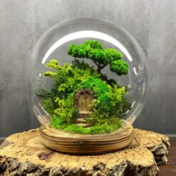 моссариум дверь в лес, моссариум с подсветкой, сказочный моссариум с дверью, интерьерный моссариум с мхом, моссариум с домиком и подсветкой, декоративный моссариум, стеклянный моссариум с деревьями, лесной моссариум с подсветкой, моссариум в стеклянной колбе, мини-сад в моссариуме, моссариум D18 см с подсветкой, моссариум для интерьера, мосаріум двері у ліс, мосаріум з підсвіткою, казковий мосаріум з дверцятком, інтер’єрний мосаріум з мохом, мосаріум з будиночком та підсвіткою, декоративний мосаріум, скляний мосаріум з деревами, лісовий мосаріум з підсвіткою, мосаріум у скляній колбі, міні-сад у мосаріумі, мосаріум D18 см з підсвіткою, мосаріум для інтер’єру