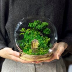 моссариум дверь в лес, моссариум с подсветкой, сказочный моссариум с дверью, интерьерный моссариум с мхом, моссариум с домиком и подсветкой, декоративный моссариум, стеклянный моссариум с деревьями, лесной моссариум с подсветкой, моссариум в стеклянной колбе, мини-сад в моссариуме, моссариум D18 см с подсветкой, моссариум для интерьера, мосаріум двері у ліс, мосаріум з підсвіткою, казковий мосаріум з дверцятком, інтер’єрний мосаріум з мохом, мосаріум з будиночком та підсвіткою, декоративний мосаріум, скляний мосаріум з деревами, лісовий мосаріум з підсвіткою, мосаріум у скляній колбі, міні-сад у мосаріумі, мосаріум D18 см з підсвіткою, мосаріум для інтер’єру