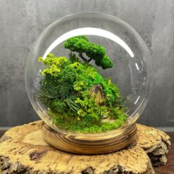 моссариум дверь в лес, моссариум с подсветкой, сказочный моссариум с дверью, интерьерный моссариум с мхом, моссариум с домиком и подсветкой, декоративный моссариум, стеклянный моссариум с деревьями, лесной моссариум с подсветкой, моссариум в стеклянной колбе, мини-сад в моссариуме, моссариум D18 см с подсветкой, моссариум для интерьера, мосаріум двері у ліс, мосаріум з підсвіткою, казковий мосаріум з дверцятком, інтер’єрний мосаріум з мохом, мосаріум з будиночком та підсвіткою, декоративний мосаріум, скляний мосаріум з деревами, лісовий мосаріум з підсвіткою, мосаріум у скляній колбі, міні-сад у мосаріумі, мосаріум D18 см з підсвіткою, мосаріум для інтер’єру