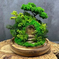 моссариум дверь в лес, моссариум с подсветкой, сказочный моссариум с дверью, интерьерный моссариум с мхом, моссариум с домиком и подсветкой, декоративный моссариум, стеклянный моссариум с деревьями, лесной моссариум с подсветкой, моссариум в стеклянной колбе, мини-сад в моссариуме, моссариум D18 см с подсветкой, моссариум для интерьера, мосаріум двері у ліс, мосаріум з підсвіткою, казковий мосаріум з дверцятком, інтер’єрний мосаріум з мохом, мосаріум з будиночком та підсвіткою, декоративний мосаріум, скляний мосаріум з деревами, лісовий мосаріум з підсвіткою, мосаріум у скляній колбі, міні-сад у мосаріумі, мосаріум D18 см з підсвіткою, мосаріум для інтер’єру