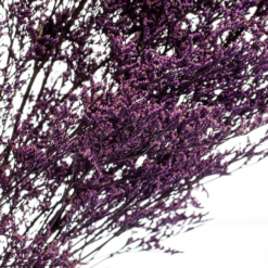 декоративная ветвь фиолет стабилизированная, стабилизированная ветвь фиолет 8213-009, фиолетовая стабилизированная ветвь, ветвь стабилизированная для декора, фиолетовые сухоцветы для интерьера, стабилизированные цветы для декора, фиолетовая ветвь для флористики, декоративные ветки для композиции, ветвь фиолетовая для декора, стабилизированные ветви фиолетовые, ветка стабилизированная для интерьера, ветвь для декора фиолет, декоративна гілка фіолет стабілізована, стабілізована гілка фіолет 8213-009, фіолетова стабілізована гілка, гілка стабілізована для декору, фіолетові сухоцвіти для інтер'єру, стабілізовані квіти для декору, фіолетова гілка для флористики, декоративні гілки для композиції, гілка фіолетова для декору, стабілізовані гілки фіолетові, гілка стабілізована для інтер'єру, гілка для декору фіолет