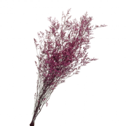 Декоративна гілка бузкова