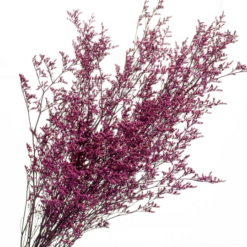 Декоративна гілка бузкова