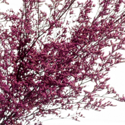 Декоративна гілка бузкова