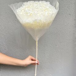 гортензия стабилизированная белая на стебле, стабилизированная гортензия для декора, гортензия на длинном стебле, цветок стабилизированный гортензия, декоративная гортензия на стебле, гортензия стабилизированная белая, гортензия для флористических композиций, цветок гортензия стабилизированный, букет из стабилизированной гортензии, гортензия для интерьера, натуральная гортензия стабилизированная, декор из белой гортензии, гортензія стабілізована біла на стеблі, стабілізована гортензія для декору, гортензія на довгому стеблі, квітка стабілізована гортензія, декоративна гортензія на стеблі, гортензія стабілізована біла, гортензія для флористичних композицій, квітка гортензія стабілізована, букет зі стабілізованої гортензії, гортензія для інтер’єру, натуральна гортензія стабілізована, декор з білої гортензії