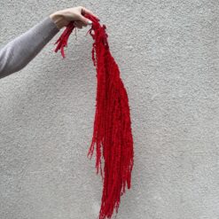 стабилизированный амарант красный, декоративный амарант для декора, амарант стабилизированный для композиций, красный амарант для букетов, стабилизированные растения для интерьера, амарант для свадебного декора, амарант красный стабилизация, яркий декоративный материал амарант, амарант для фотозоны, стабилизированный амарант для интерьера, амарант стабилизированный купить, красный амарант для украшений, стабілізований амарант червоний, декоративний амарант для декору, амарант стабілізований для композицій, червоний амарант для букетів, стабілізовані рослини для інтер'єру, амарант для весільного декору, амарант червоний стабілізація, яскравий декоративний матеріал амарант, амарант для фотозони, стабілізований амарант для інтер'єру, амарант стабілізований купити, червоний амарант для прикрас