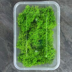 Мох ягель стабілізований Преміум