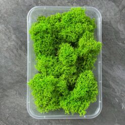 Мох ягель стабілізований Преміум